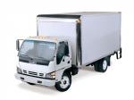 Isuzu N-Series Single Cab 2004 года